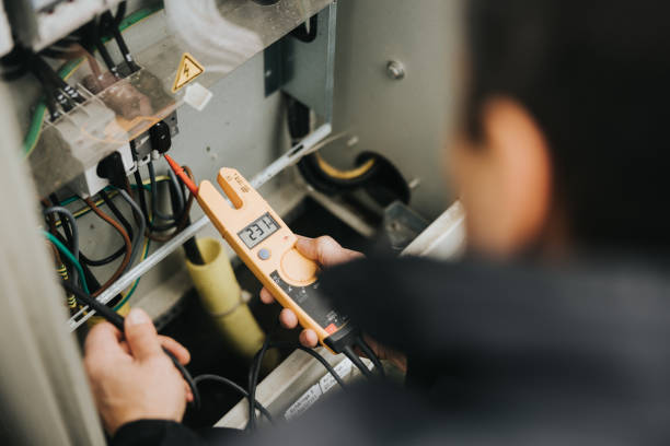 Best Electric Panel Repair  in Niles, MI
