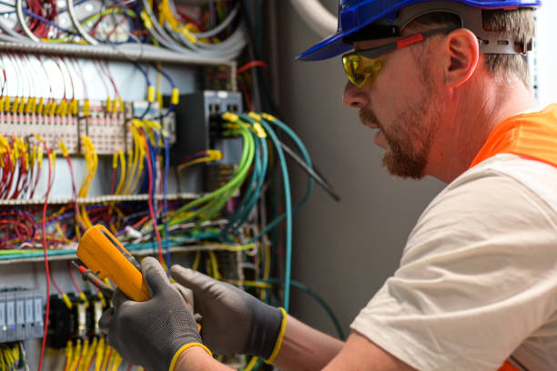 Best Electrician for Home Renovation  in Niles, MI